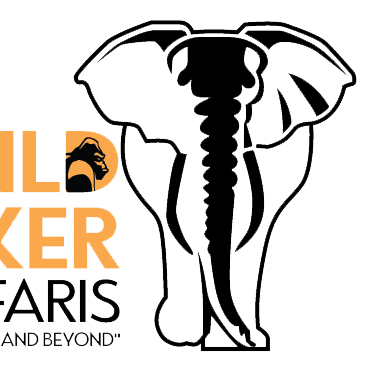 Wild Trekker Safaris